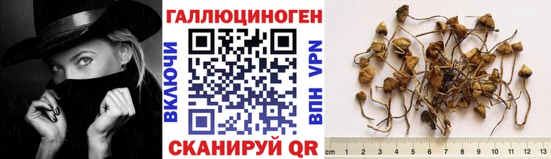 Купить где  Холмск  Псилоцибиновые грибы прущие грибы 